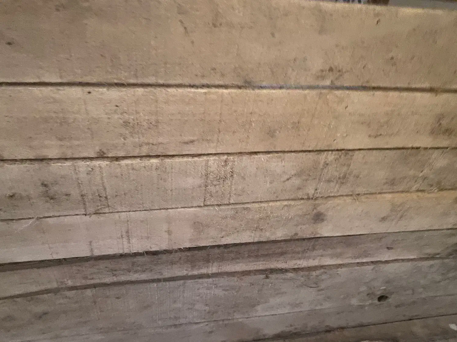 قفسه گلخانه ای|کتابخانه، شلف، قفسه‌های دیواری|یزد, |دیوار