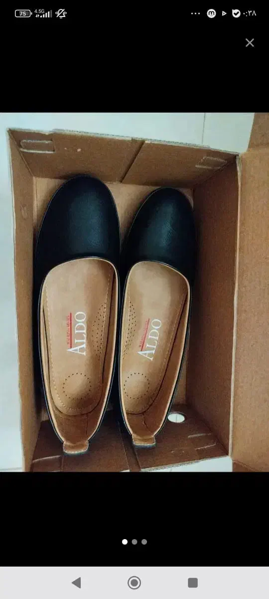 کفش|کیف، کفش، کمربند|شیراز, شهرک مطهری|دیوار