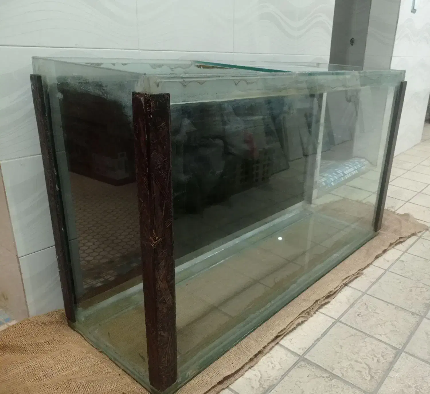 آکواریوم|ماهی|تهران, قیطریه|دیوار