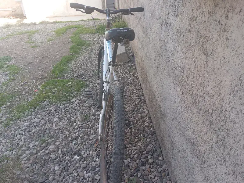 دوچرخه 26|دوچرخه، اسکیت، اسکوتر|گنبد کاووس, |دیوار