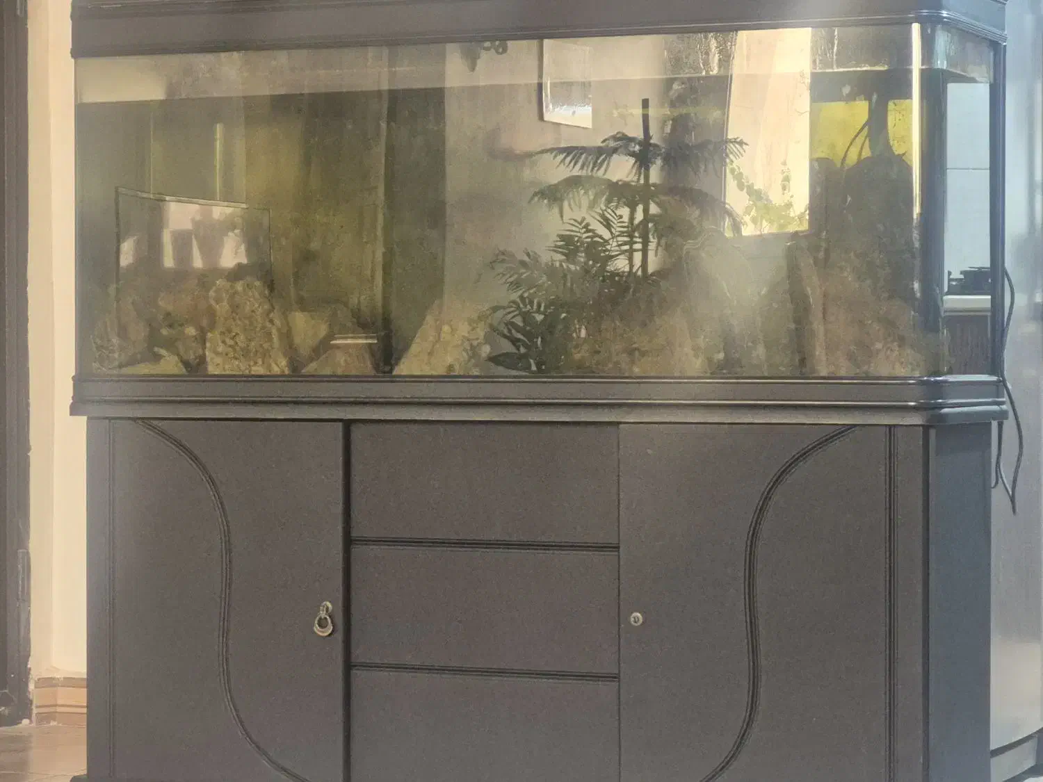 اکواریوم ۱.۵ متری دلسا|ماهی|بندر ماهشهر, |دیوار