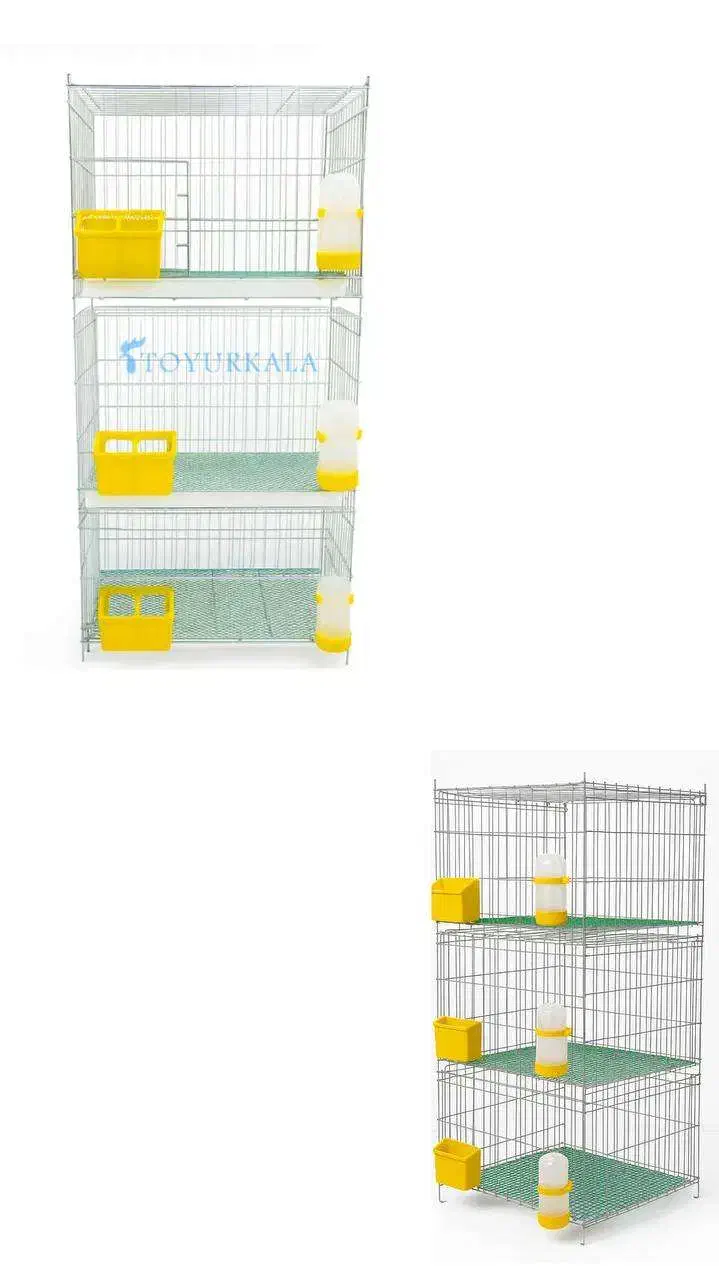 نگهداری اصولی کبوتر در قفس کبوتر|لوازم جانبی حیوانات|خلخال, |دیوار