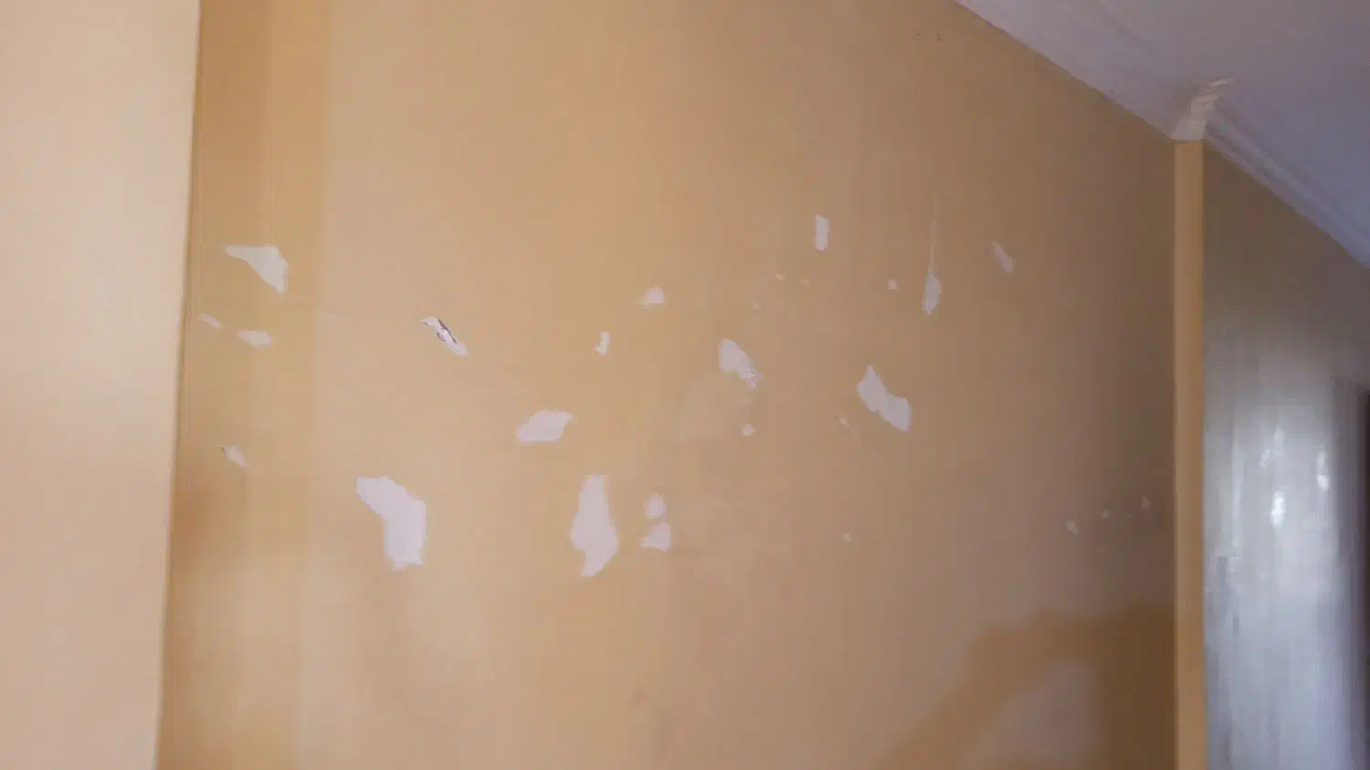 اجرای انواع عایق و رنگ|خدمات پیشه و مهارت|عسلویه, |دیوار