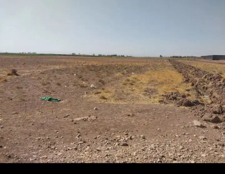 زمین|فروش زمین و ملک کلنگی|اسفرورین, |دیوار