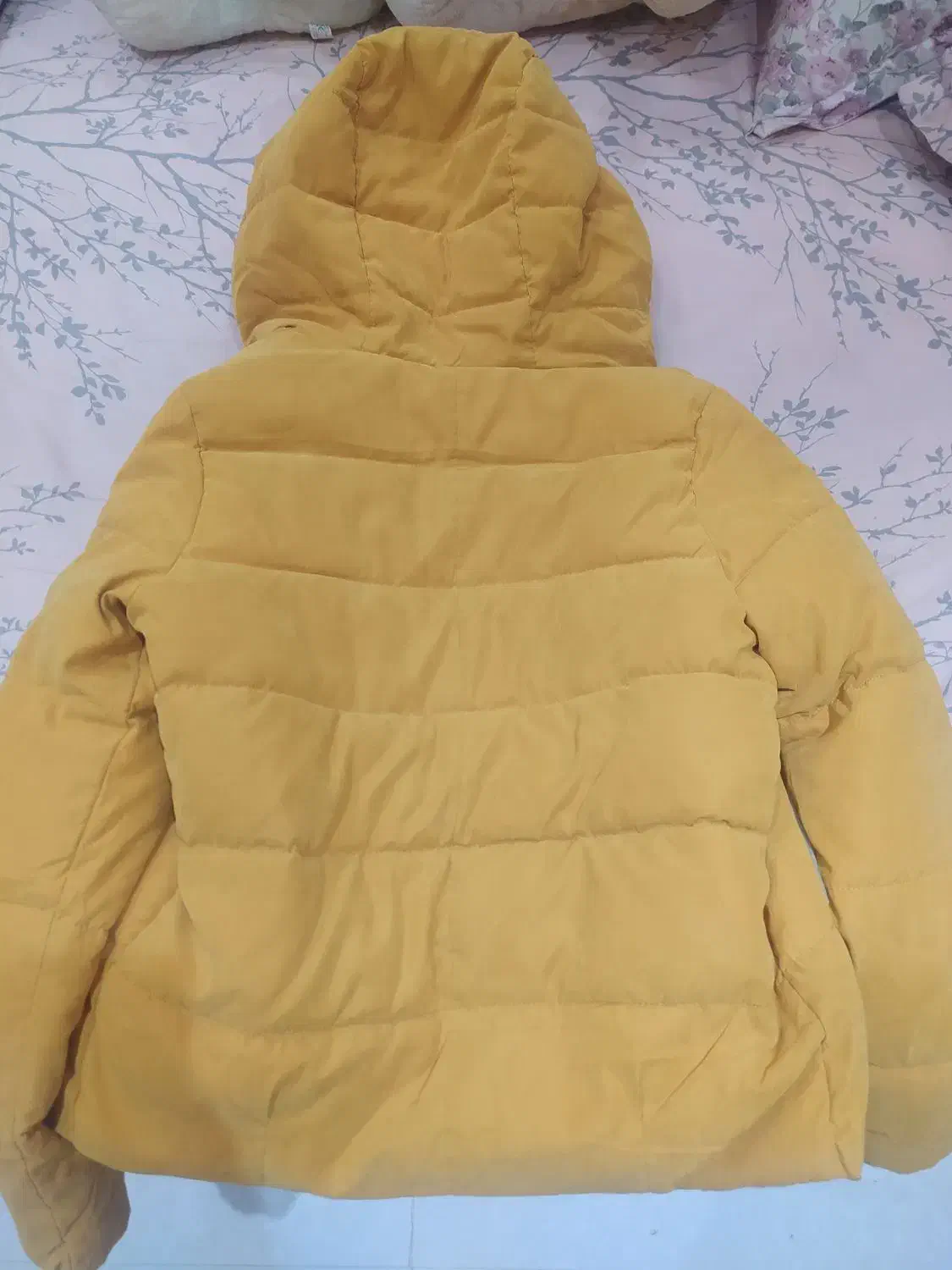 کاپشن|لباس|نکا, |دیوار