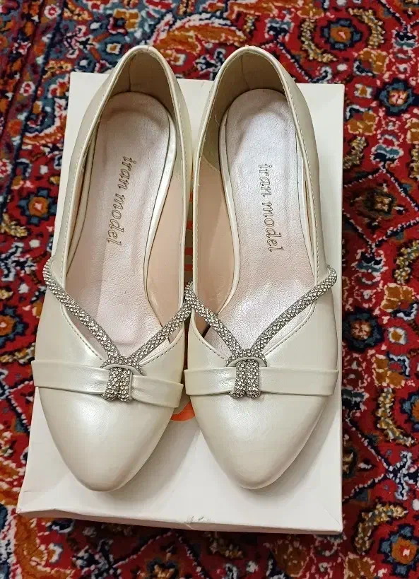 کفش|کیف، کفش، کمربند|رودسر, |دیوار