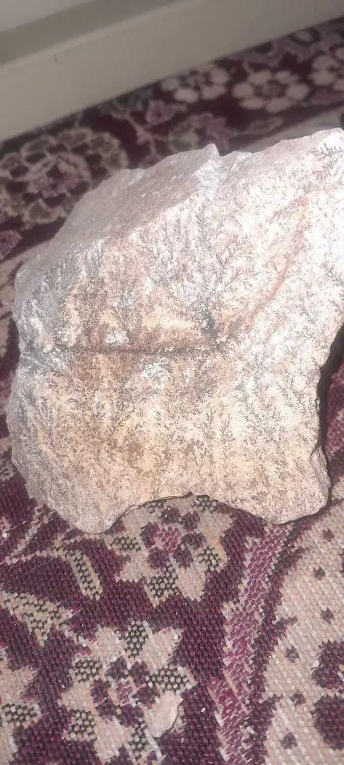 سنگ شجر طبیعی فروش کیلوی|کلکسیون اشیاء عتیقه|رزن, |دیوار