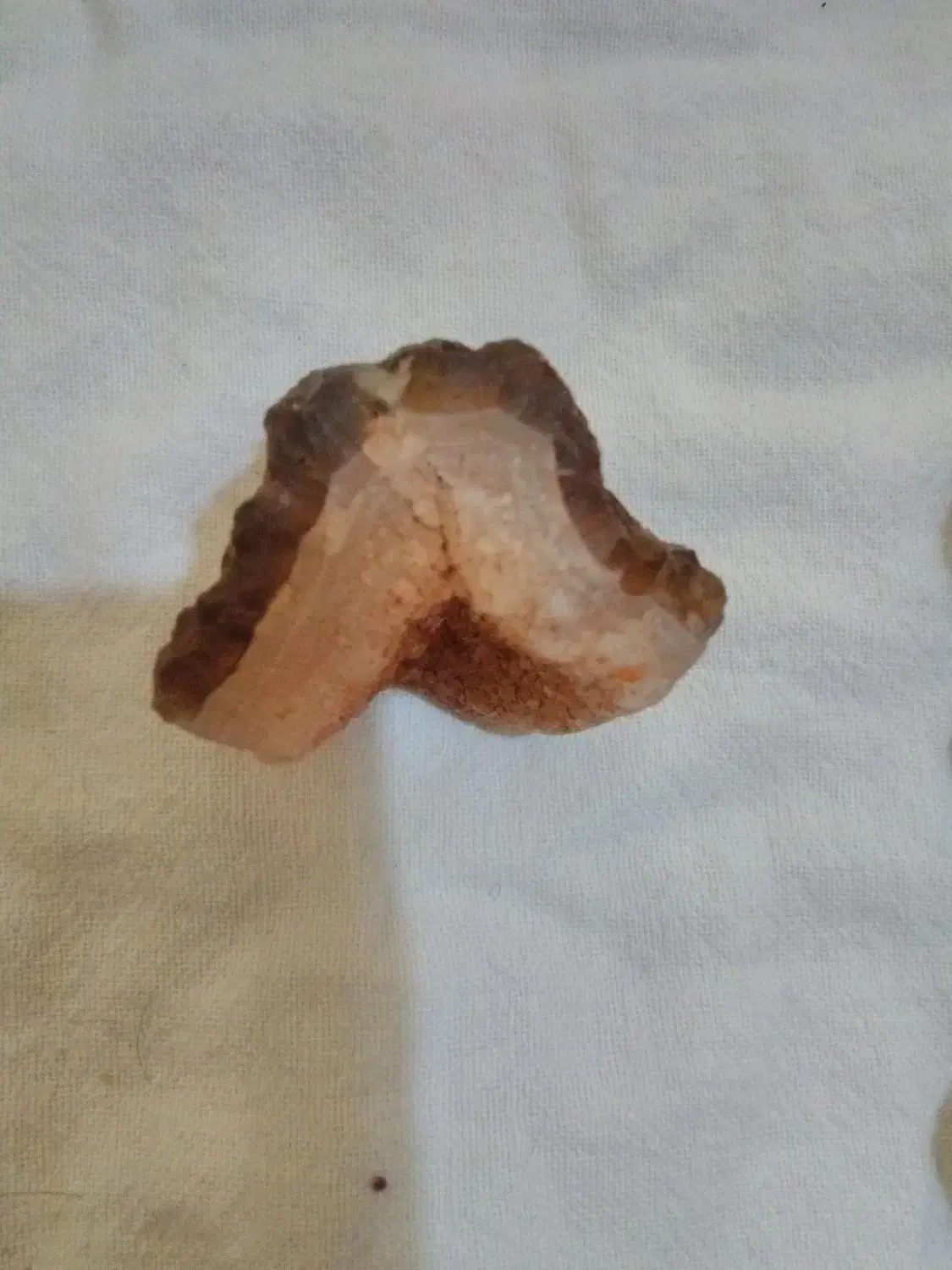 سنگ قیمتی فروشی|کلکسیون اشیاء عتیقه|بشاریات, |دیوار