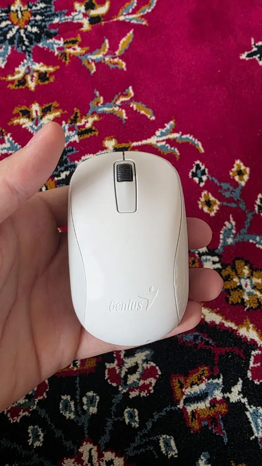 ماوس بی سیم|قطعات و لوازم جانبی رایانه|شیروان (خراسان), |دیوار