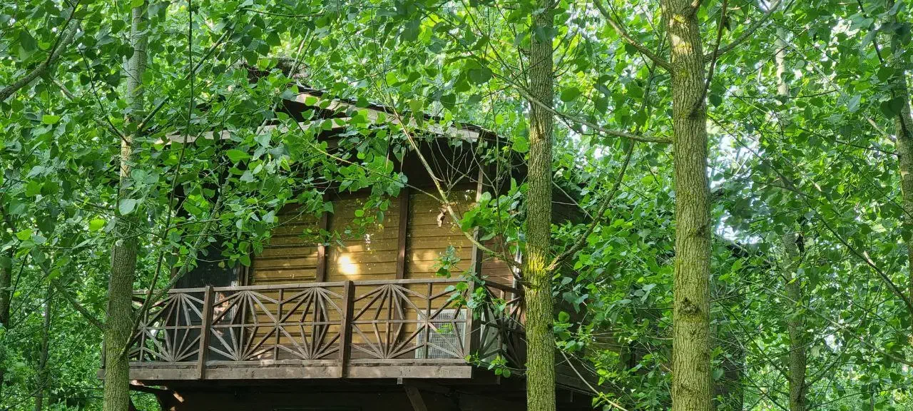 ویلاهایی پنهان در آغوش درختان|فروش خانه و ویلا|سرعین, |دیوار