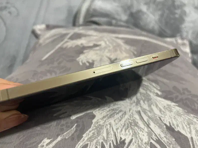 iPhone 13 Pro Max LLA|موبایل|میانه, |دیوار