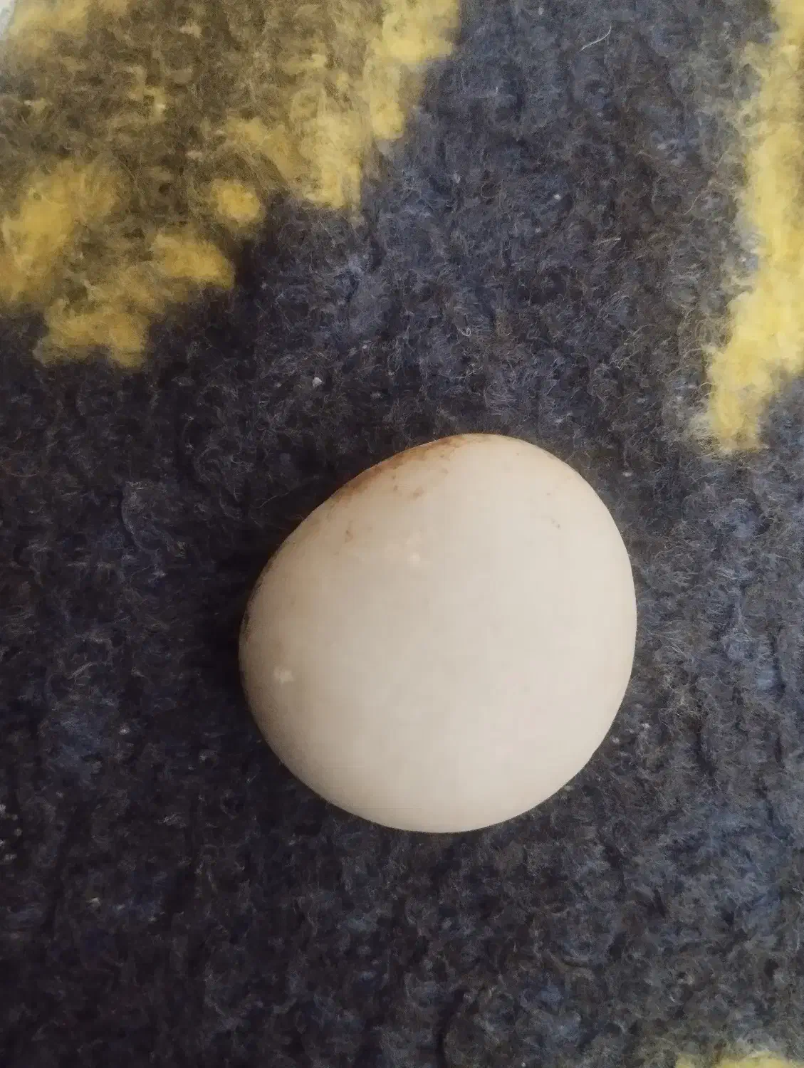 آسیاب|جواهرات|گل تپه, |دیوار