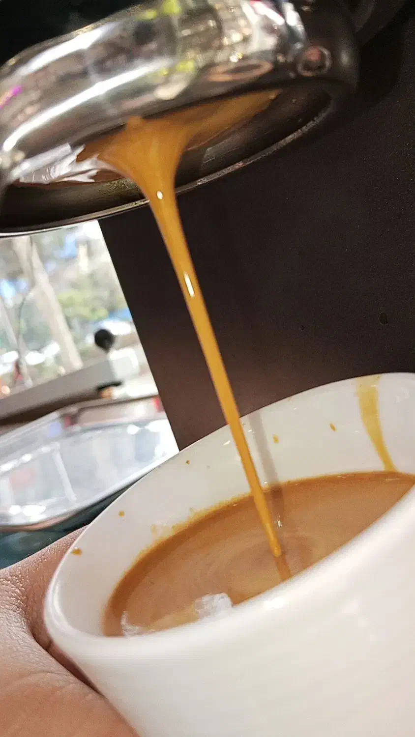 پخش قهوه حمید طرح تنظیم بازار انواع دان قهوه میکس|عمدهفروشی|مشهد, شاهد (شهرک غرب)|دیوار