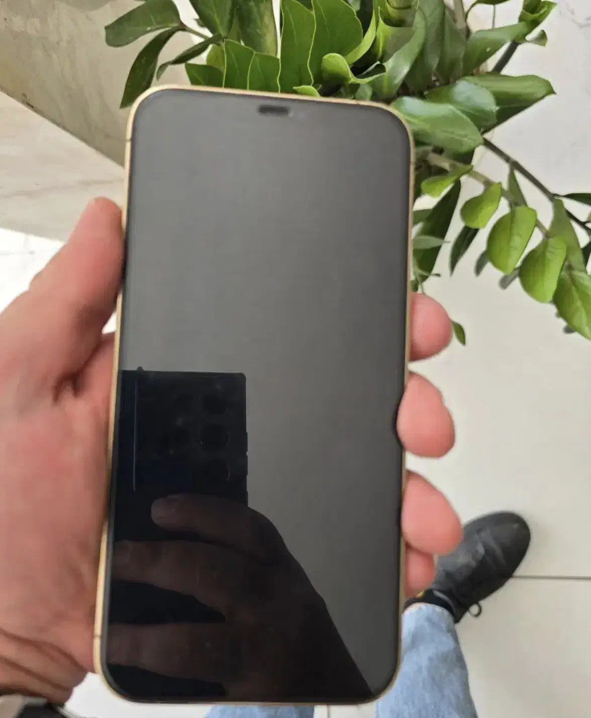 Iphone 12pro max|موبایل|اصفهان, شهرک کاوه|دیوار