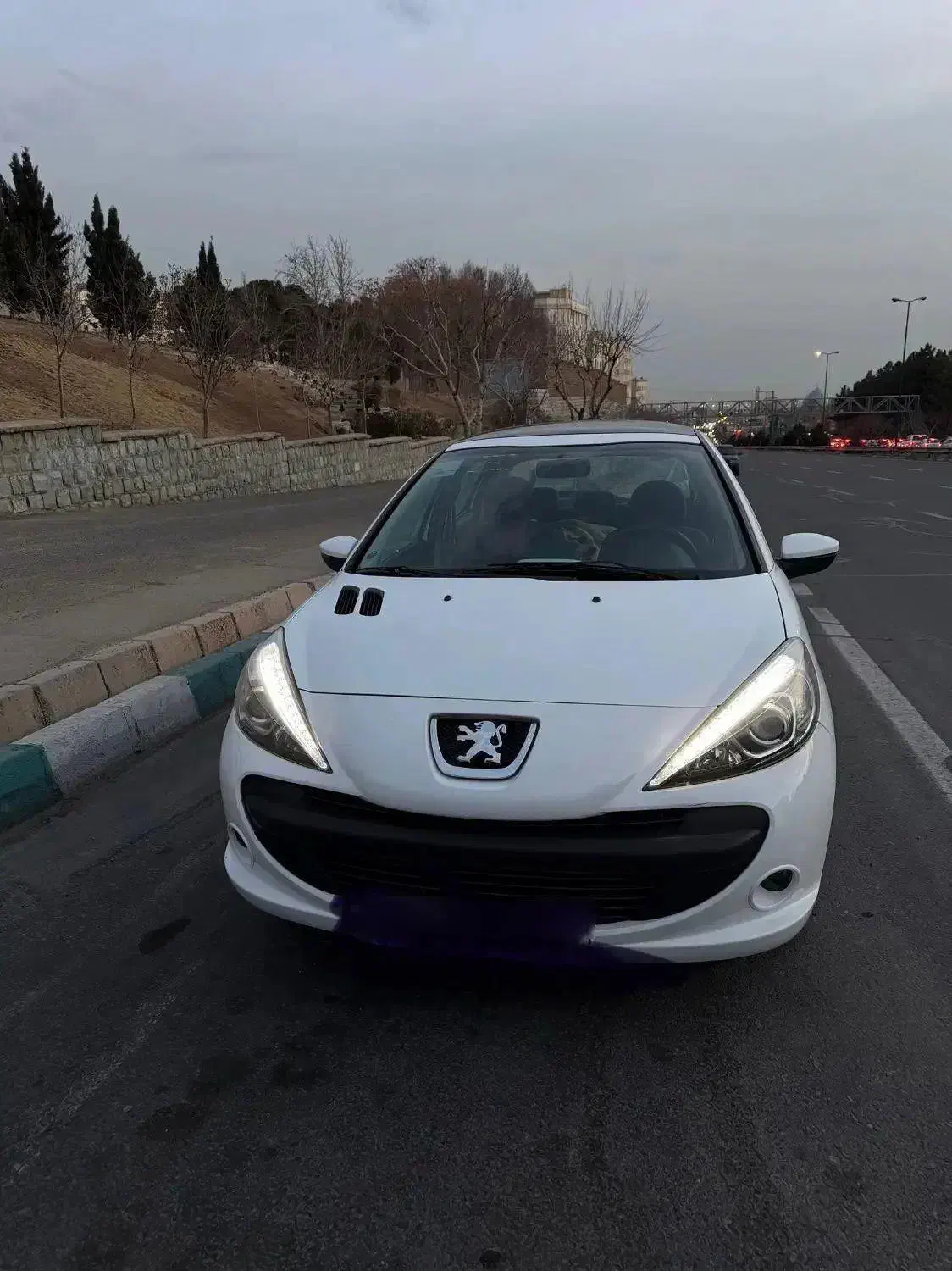 ماشین ۲۰۷|خودرو سواری و وانت|تهران, شهرک کوهسار|دیوار