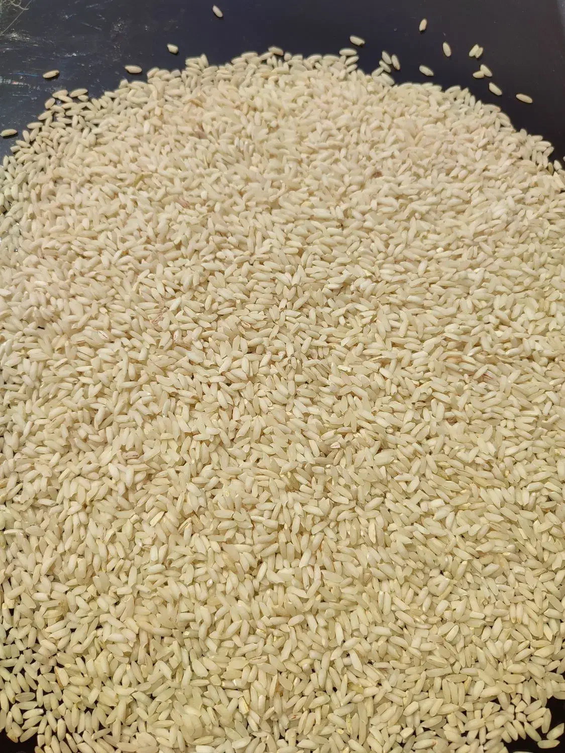 برنج عنبر بو|خوردنی و آشامیدنی|شوشتر, |دیوار