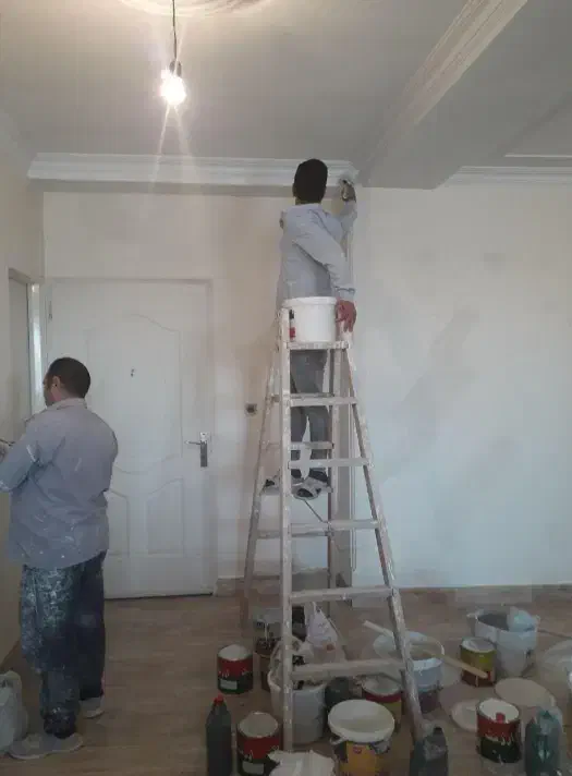 نقاشی ساختمان حرفه ای|خدمات پیشه و مهارت|میانه, |دیوار