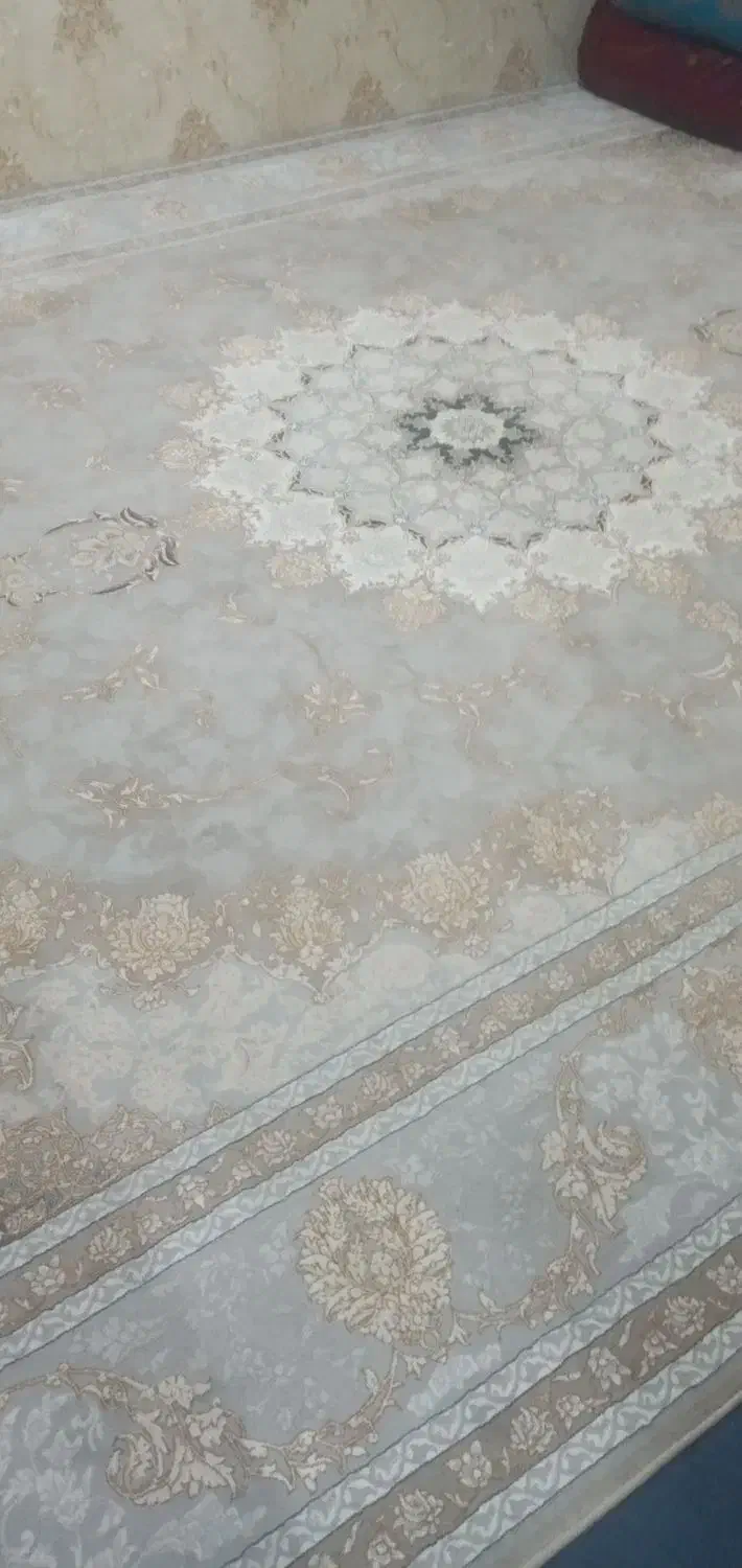 فرش ابریشم|فرش|زاهدان, |دیوار