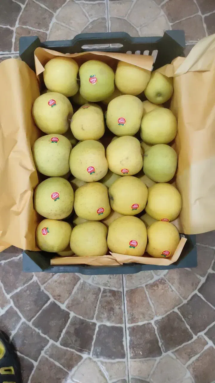 فروش سیب|عمدهفروشی|نقده, |دیوار