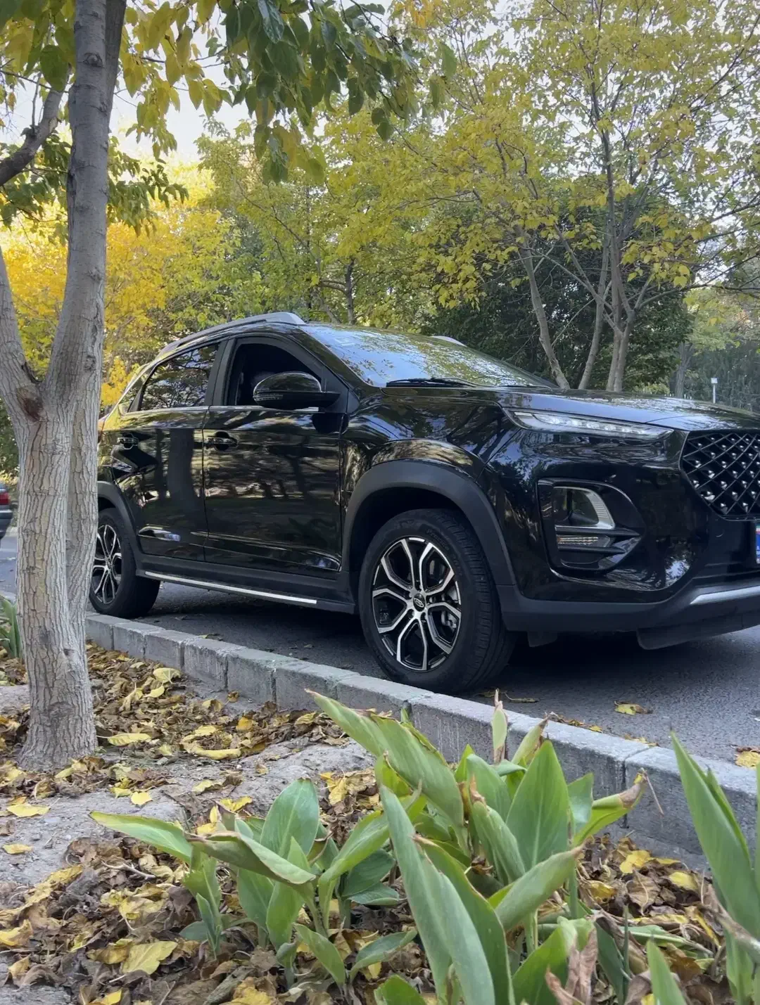 x22 pro سرامیک شده|خودرو سواری و وانت|تبریز, |دیوار