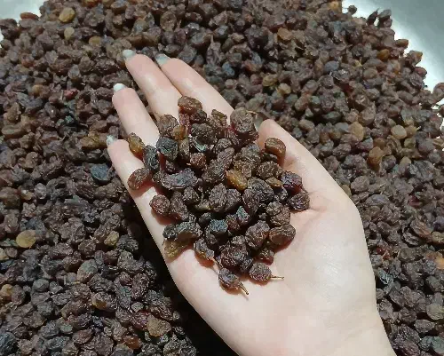 کشمش اعلاء|خوردنی و آشامیدنی|ورامین, ورامین|دیوار