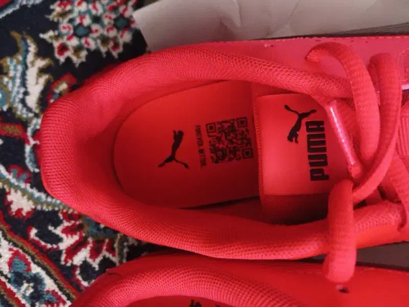 کفش سالنی|کیف، کفش، کمربند|قم, نیروگاه|دیوار