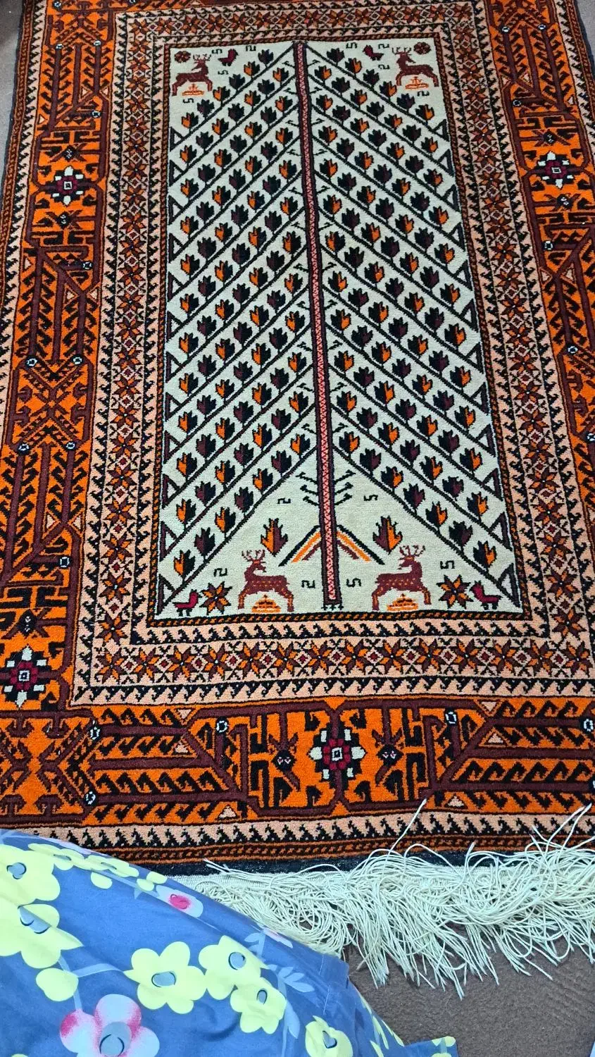 ۵ عدد قالیچه درجه یک بلوچ|فرش|مشهد, کلاهدوز|دیوار