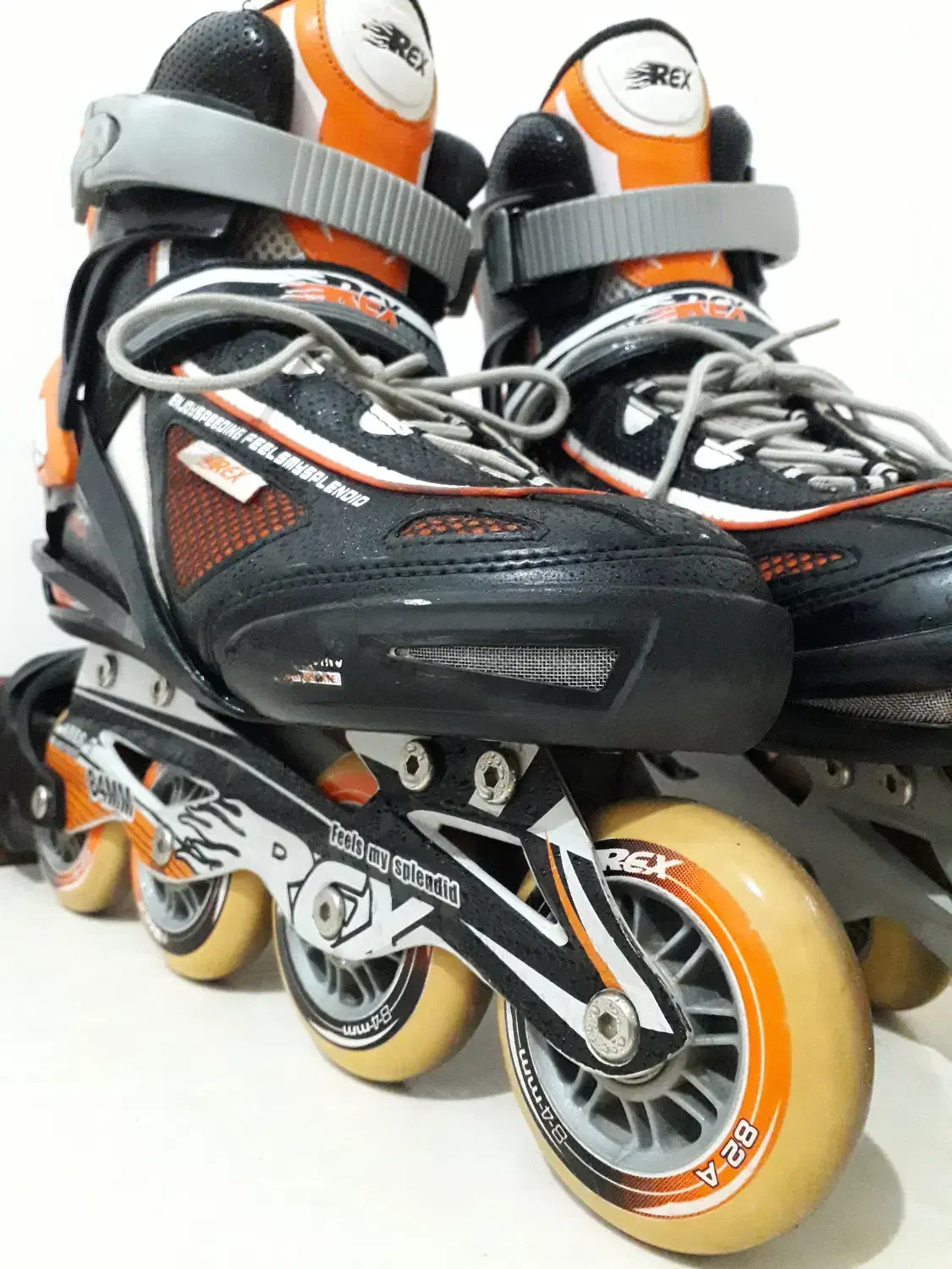 اسکیت حرفه‌ای REX ( سایز 42-43 )|دوچرخه، اسکیت، اسکوتر|اسلام‌شهر, باغ فیض|دیوار