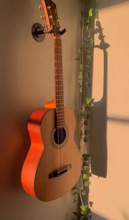 آموزش گیتار با تخفیف ویژه بلک فرایدی فقط ۱ میلیون|خدمات آموزشی|نیشابور, شریعتی|دیوار