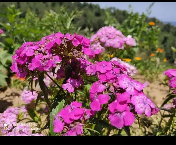 مسافر رشت هستم|فعالیت داوطلبانه|فومن, |دیوار