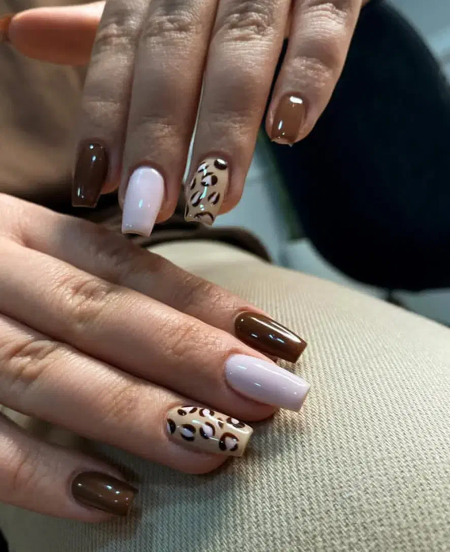 کاشت ناخن|خدمات آرایشگری و زیبایی|زابل, |دیوار