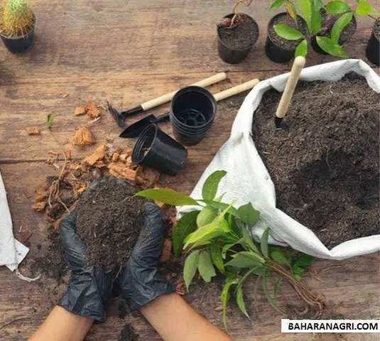 گلدان تقویت خاک جهت گل مناسب برای باغچه ای کود رشد|خدمات باغبانی و درختکاری|تهران, نیاوران|دیوار