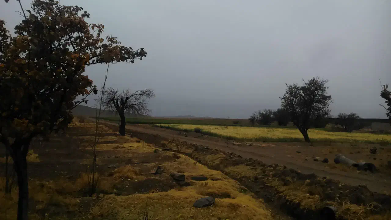 زمین کشاوری ۳۵ هکتار|فروش دفتر صنعتی، کشاورزی، تجاری|دهج, |دیوار