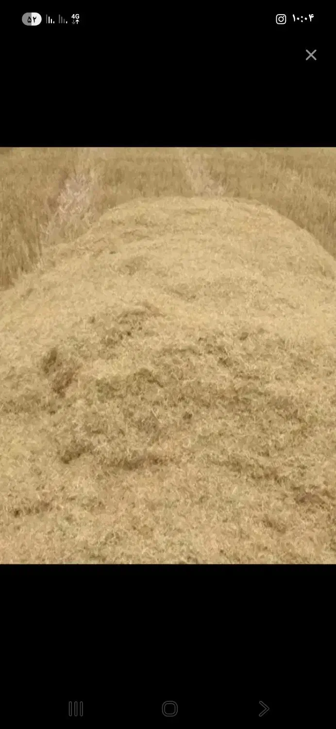 کاه گندم|لوازم جانبی حیوانات|فیروزه, |دیوار