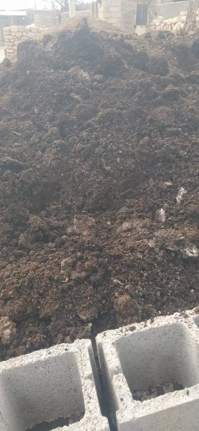 کود گوسفندی|خدمات باغبانی و درختکاری|شیراز, گویم|دیوار