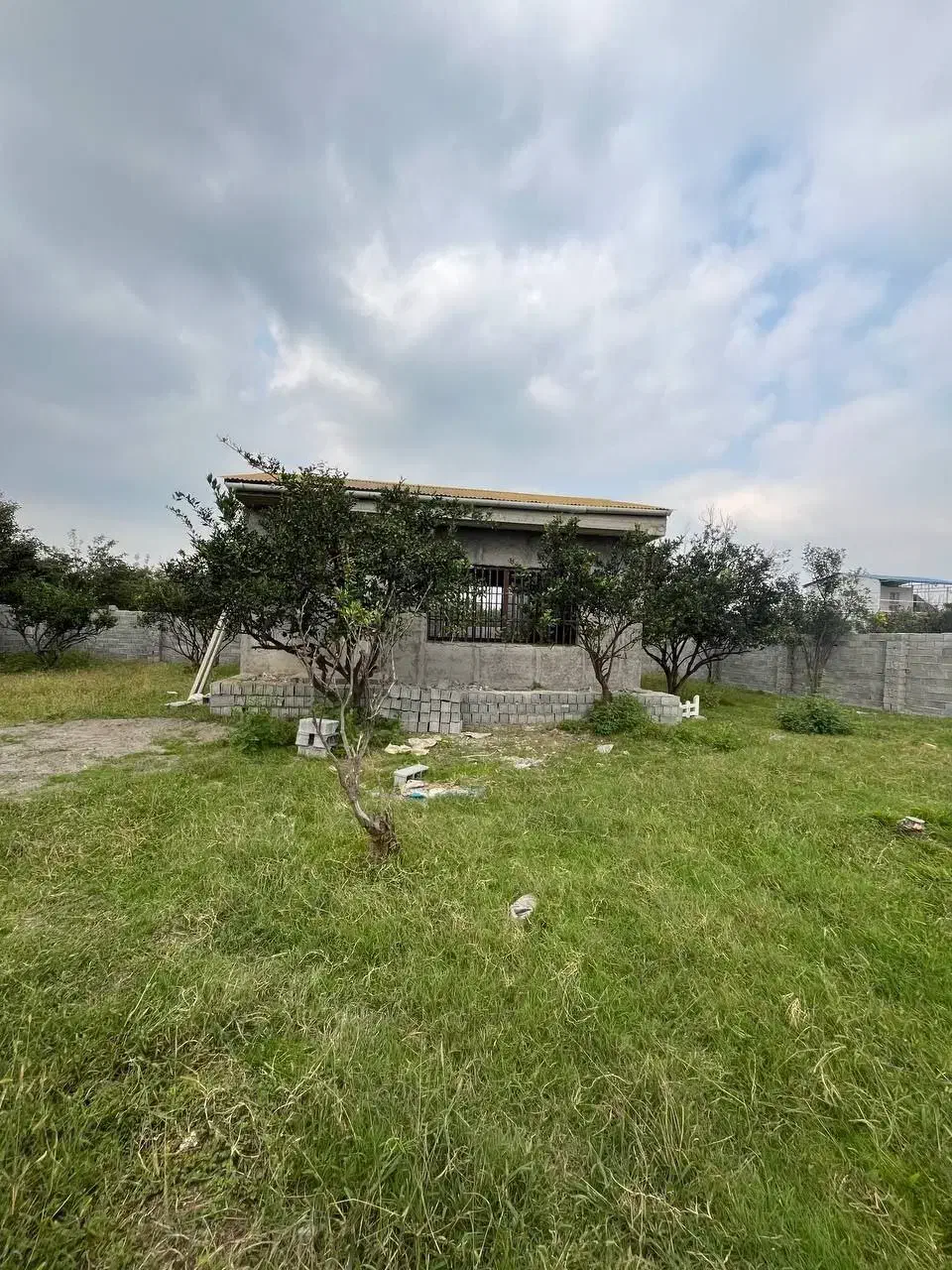 زمین۵۰۰متری سند/با بنای نیمساخته/با درختان پرتقال|فروش زمین و ملک کلنگی|امامزاده عبدالله, |دیوار