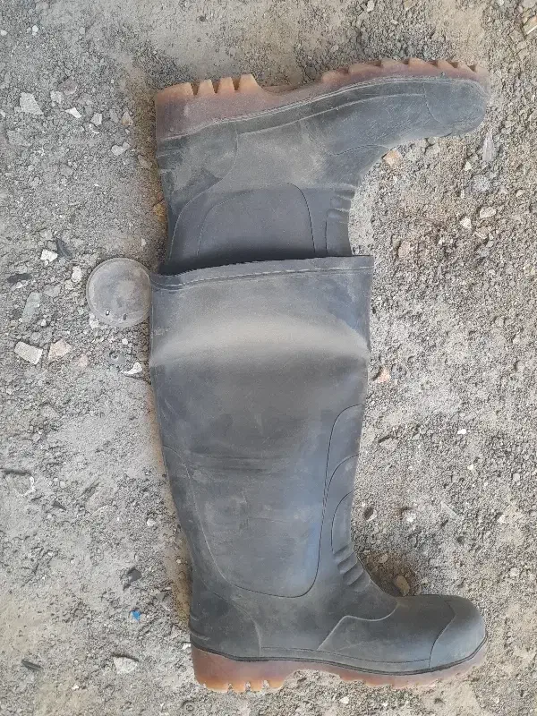 یک جفت چکمه نو پارسی|کیف، کفش، کمربند|زابل, |دیوار