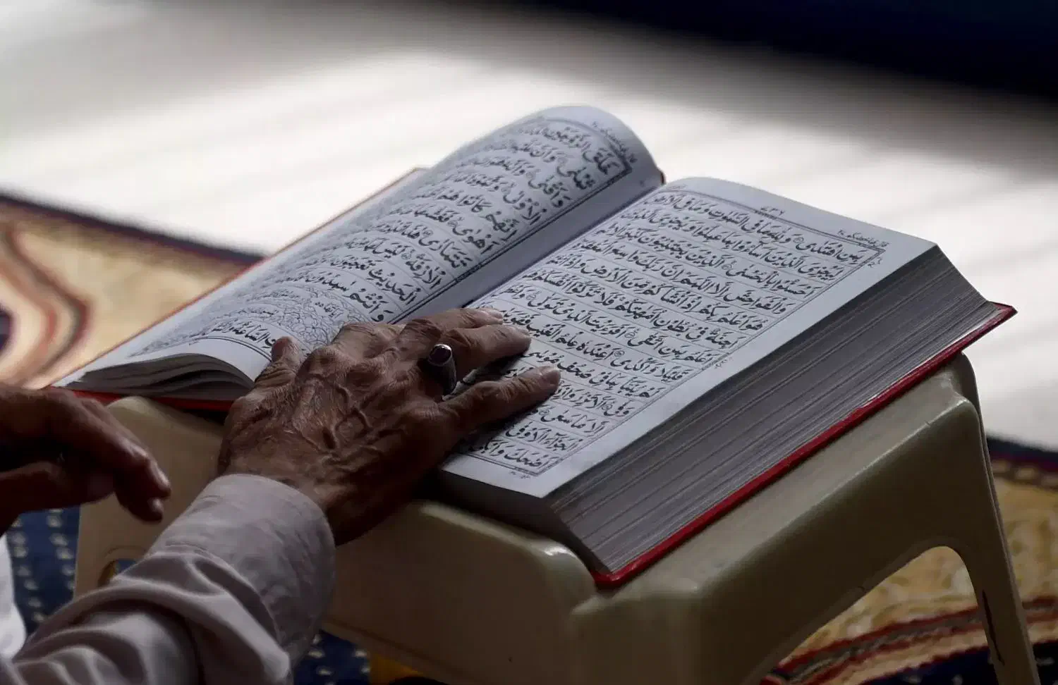 قاری قرآن سر مزار اموات|خدمات پذیرایی، مراسم|تربت‌حیدریه, مظفریه|دیوار