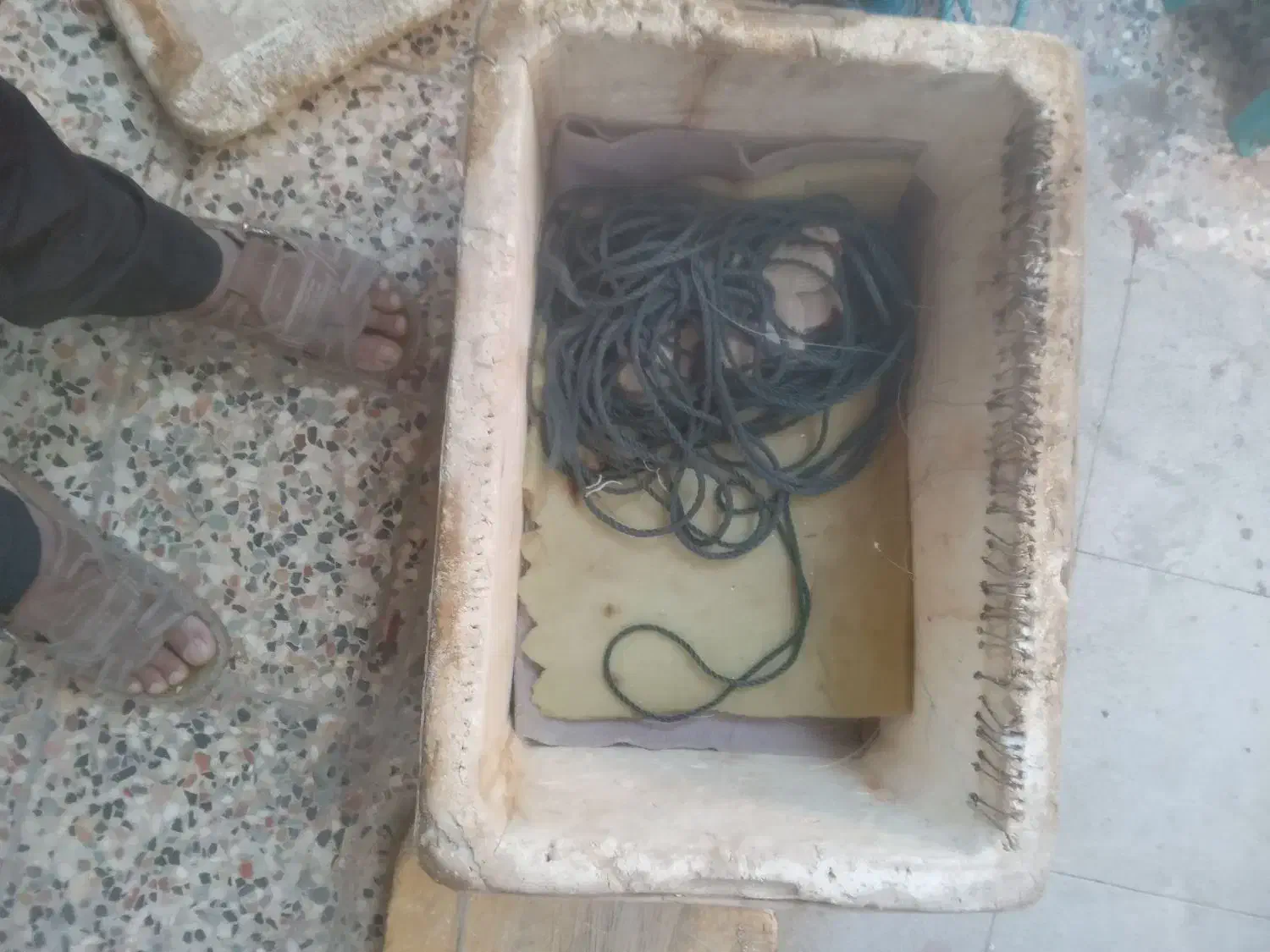 خیه ماهیگیری|ماهیگیری|بوشهر, |دیوار