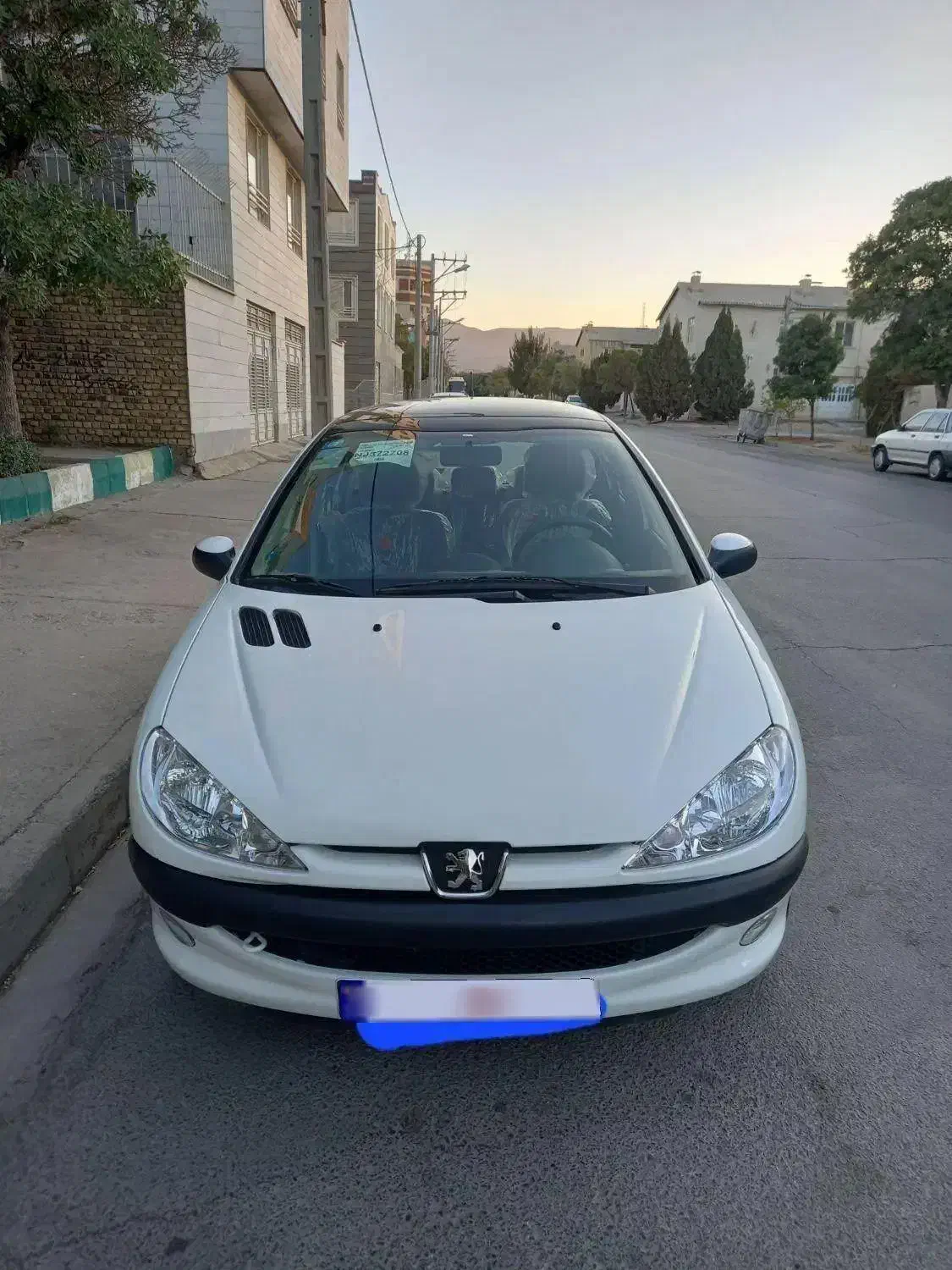 پژو ۲۰۶ تیپ ۳ مدل ۱۴۰۱|خودرو سواری و وانت|اراک, |دیوار