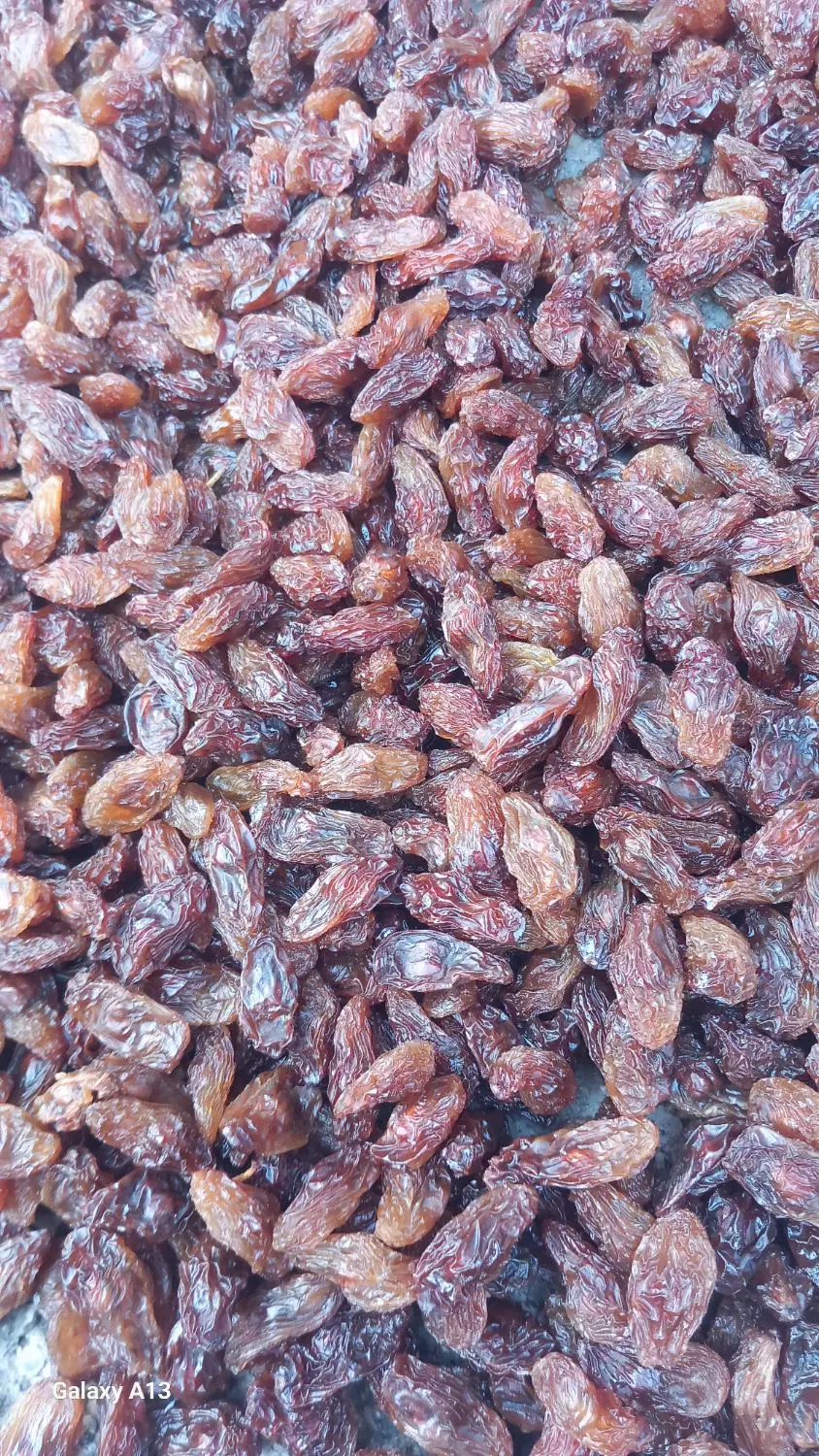 مویز|خوردنی و آشامیدنی|صحنه, |دیوار