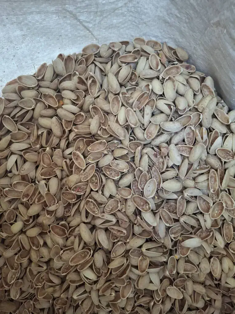 پوست پسته|خدمات باغبانی و درختکاری|اصفهان, سرشبادران|دیوار