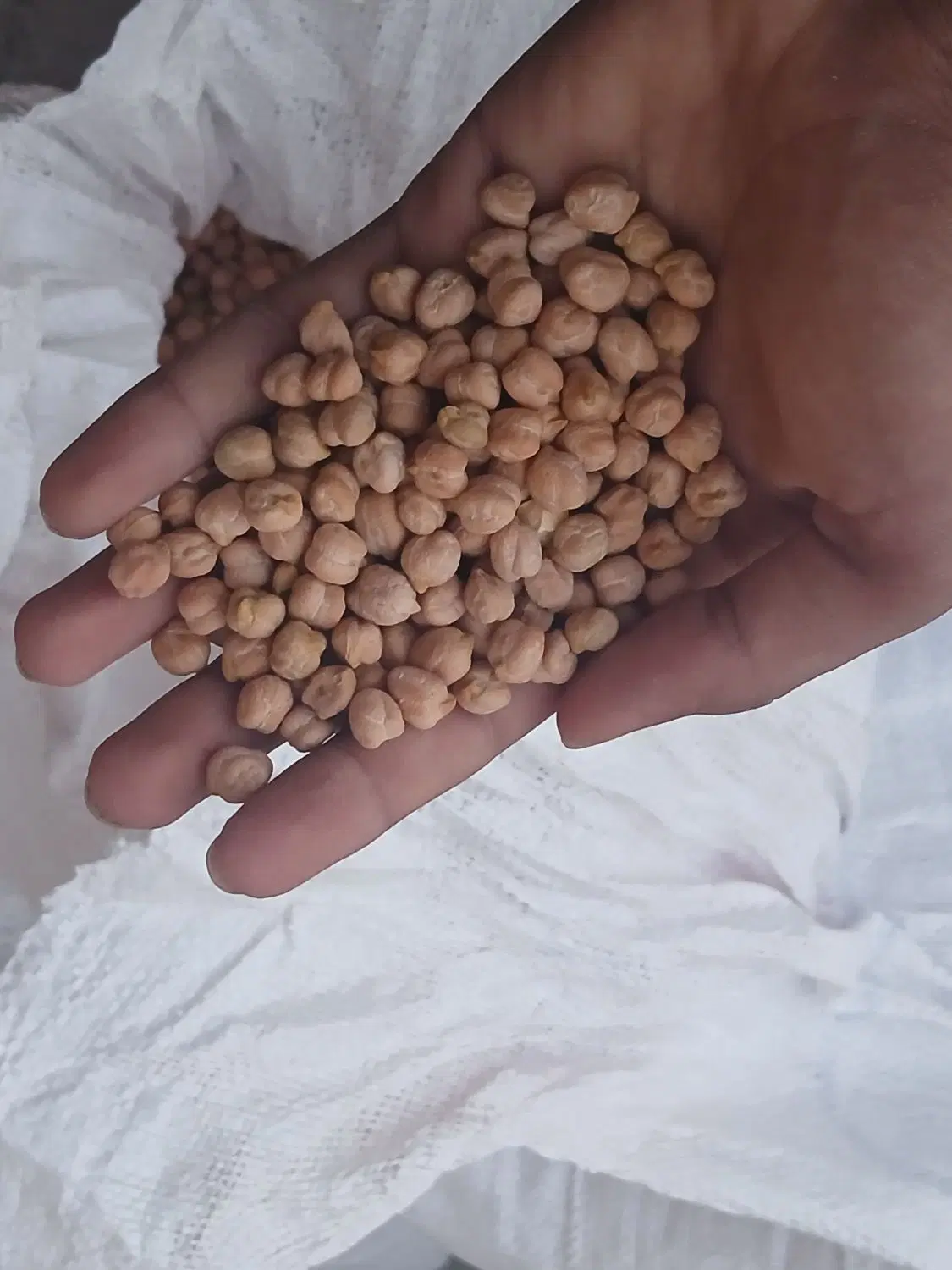نخود|خوردنی و آشامیدنی|تکاب, |دیوار