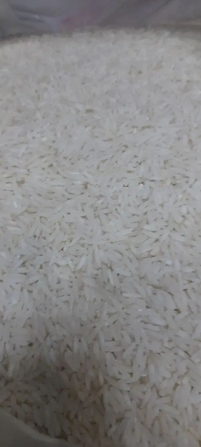 برنج ایرانی|خوردنی و آشامیدنی|کاشان, پشت شهربانی|دیوار