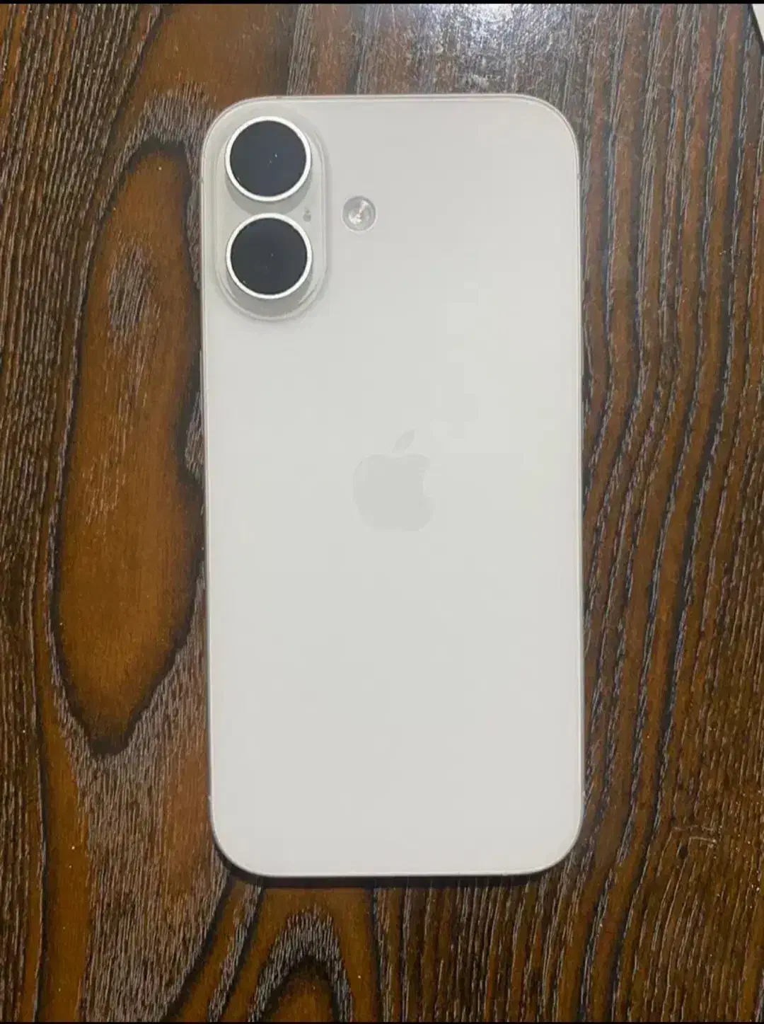 فروشی ایفون ۱۶|موبایل|بیرجند, |دیوار