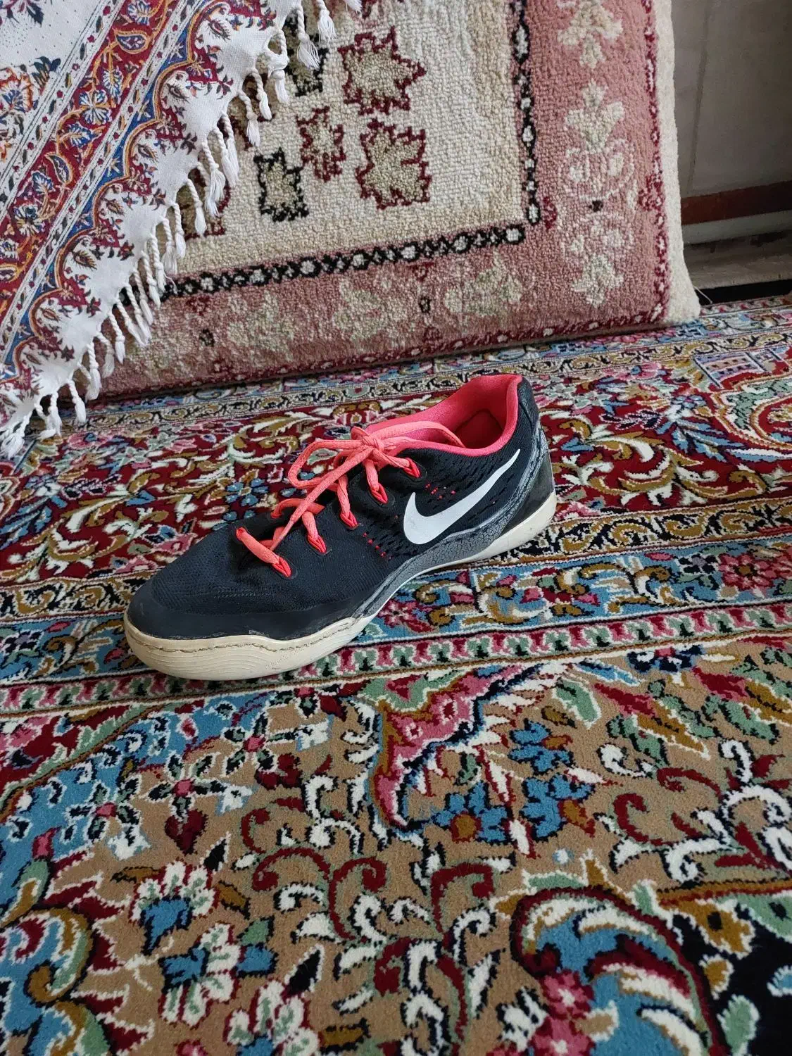 کفش سالنی فوتسال تاناکورا اورجینال سایز ۴۰|کیف، کفش، کمربند|کرمانشاه, |دیوار