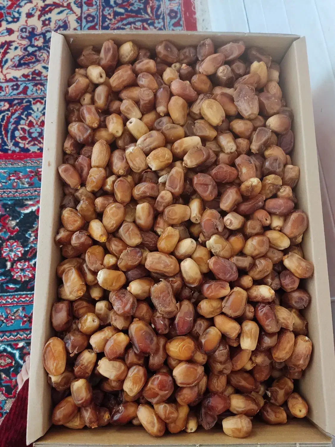 قصب زاهدی درجه دو|خوردنی و آشامیدنی|بوشکان, |دیوار