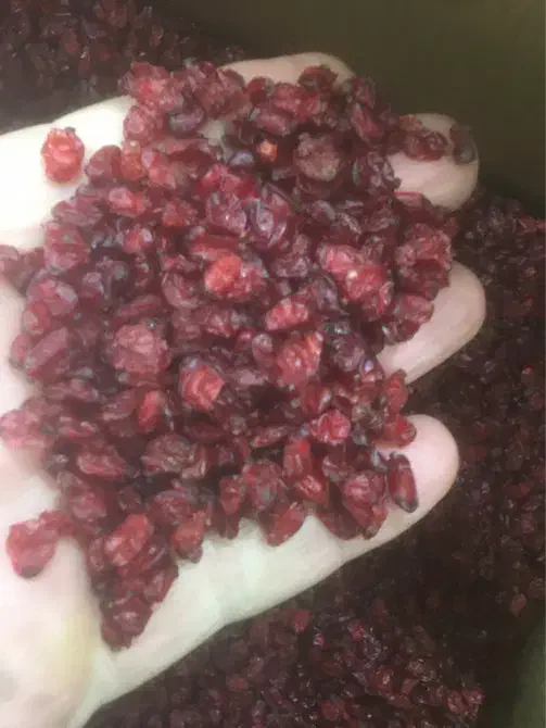 زرشک|خوردنی و آشامیدنی|تهران, فلاح|دیوار