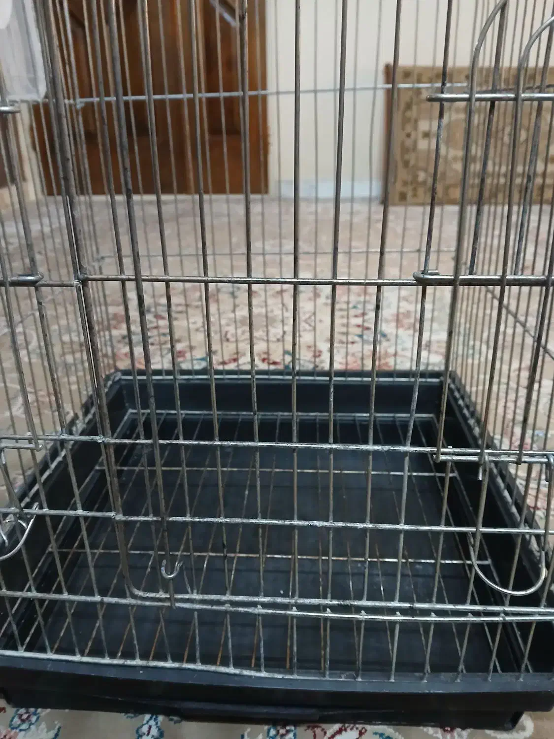 قفس|لوازم جانبی حیوانات|قزوین, |دیوار