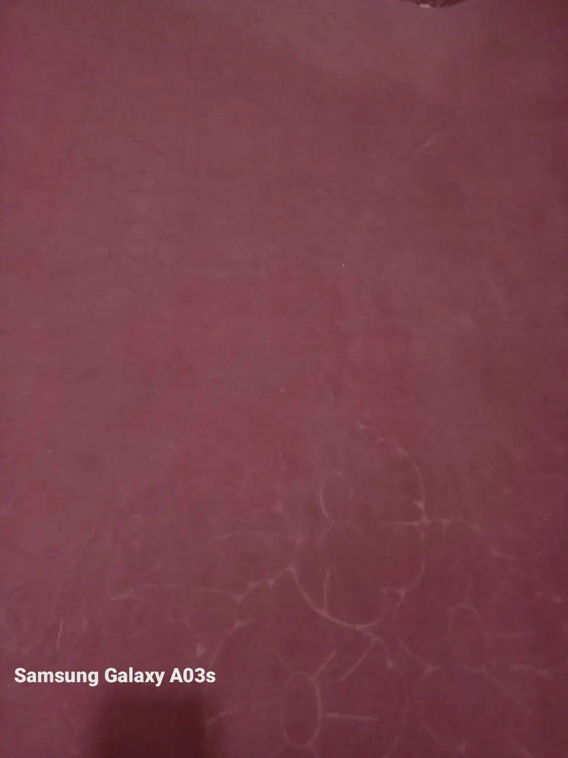 موکت در حد نو|موکت|رفسنجان, |دیوار